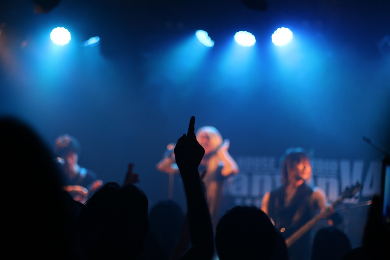 concert, music, live performance, live, live house, shadow, people, fan